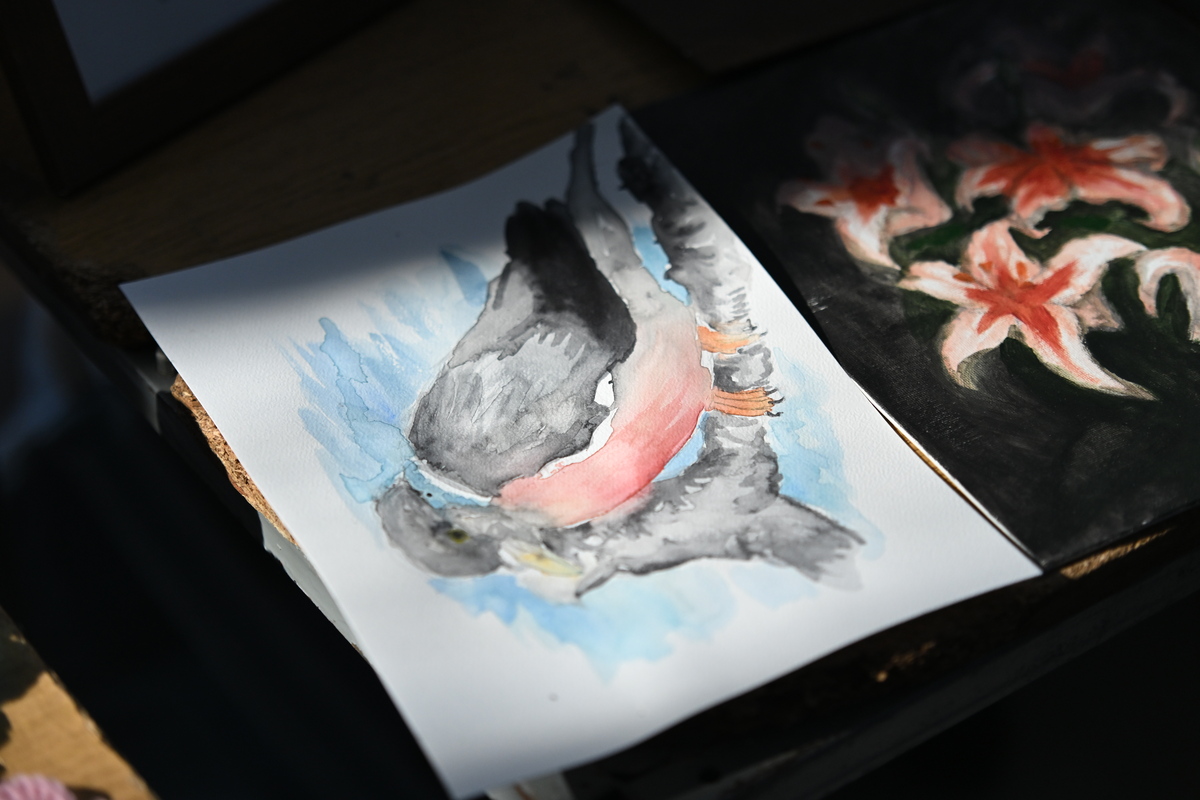 „Nasze Pasje” – święto młodzieżowych inspiracji w Rudzie Śląskiej 66