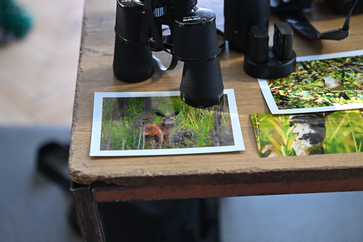 „Nasze Pasje” – święto młodzieżowych inspiracji w Rudzie Śląskiej 74