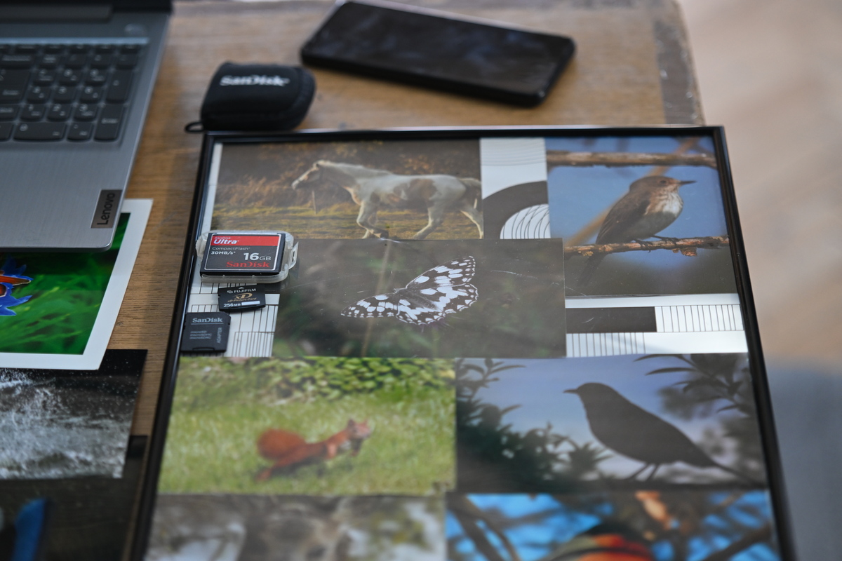 „Nasze Pasje” – święto młodzieżowych inspiracji w Rudzie Śląskiej 75