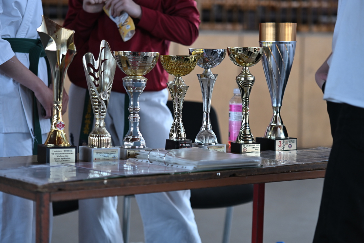 „Nasze Pasje” – święto młodzieżowych inspiracji w Rudzie Śląskiej 103