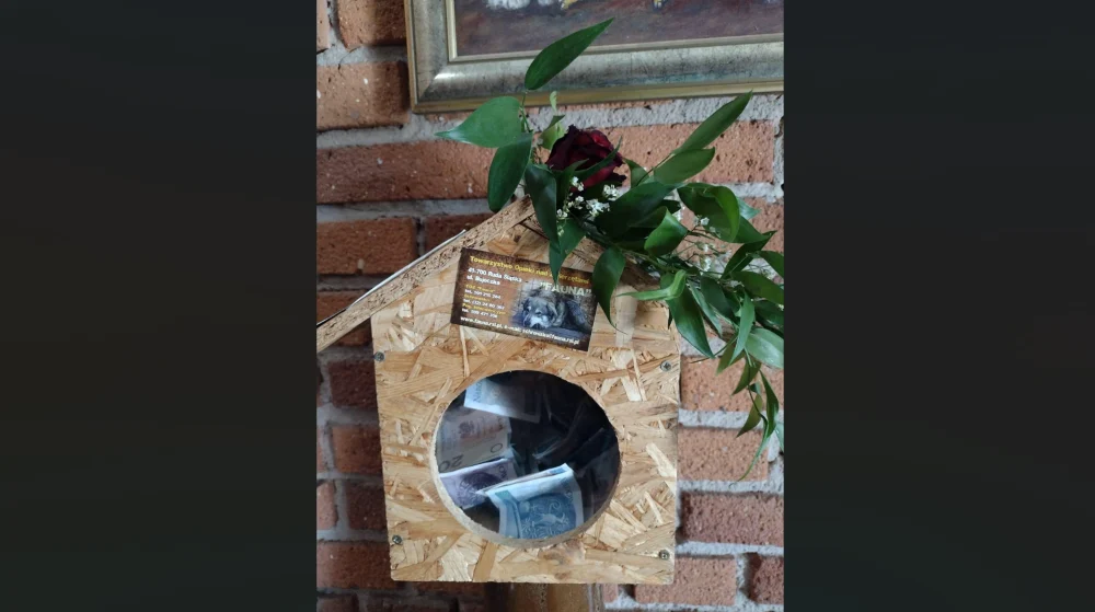 Wyjątkowy upominek dla Fauny – niezwykła skarbonka i datki