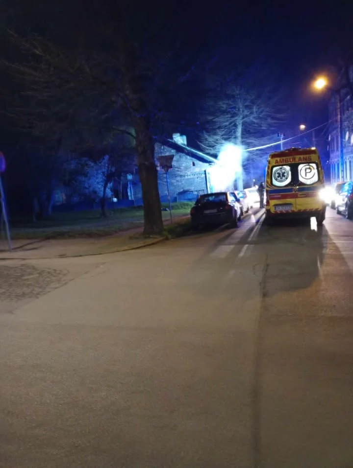 Pożar w Rudzie Śląskiej. Nocna ewakuacja mieszkańców. Psa nie udało się uratować