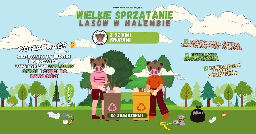 Posprzątaj halembski las z Dzikimi Knurami i harcerzami!