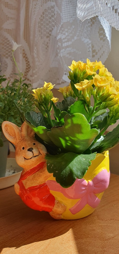 Wielkanocny klimat w obiektywie 5