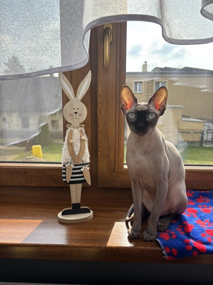 Wielkanocny klimat w obiektywie 7