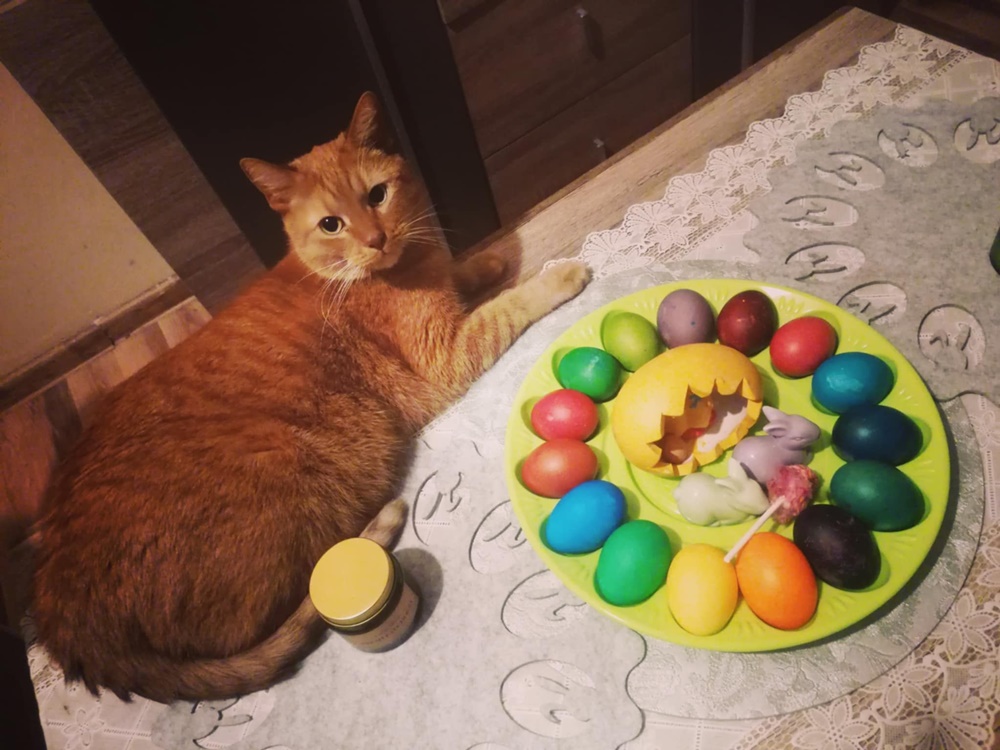 Wielkanocny klimat w obiektywie 17