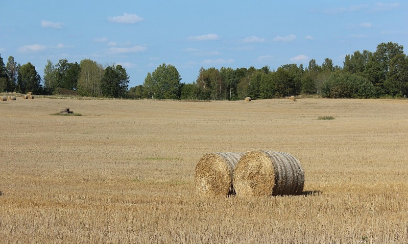 Przed nami szkolenie dla rolników o normach i wymogach warunkowości