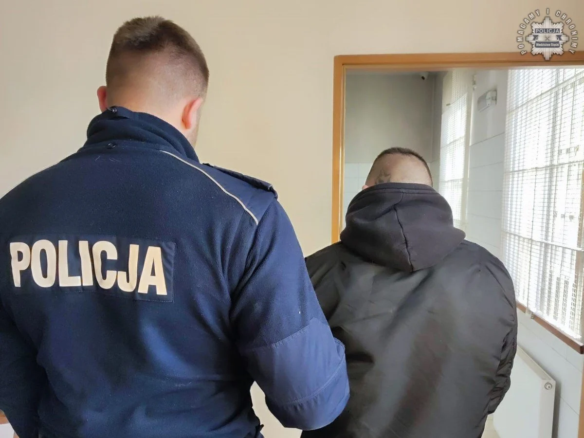 Mężczyzna zatrzymany za próbę włamania w czasie warunkowego zwolnienia