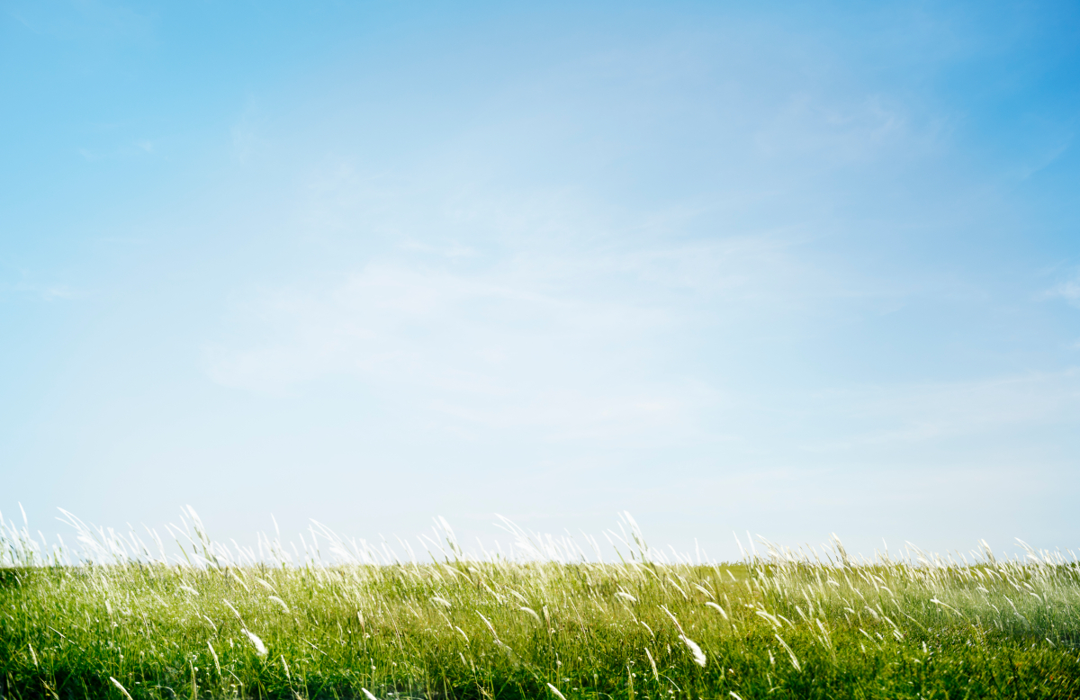 Zmiany w programie Czyste Powietrze – sprawdź, kto może skorzystać z dofinansowania