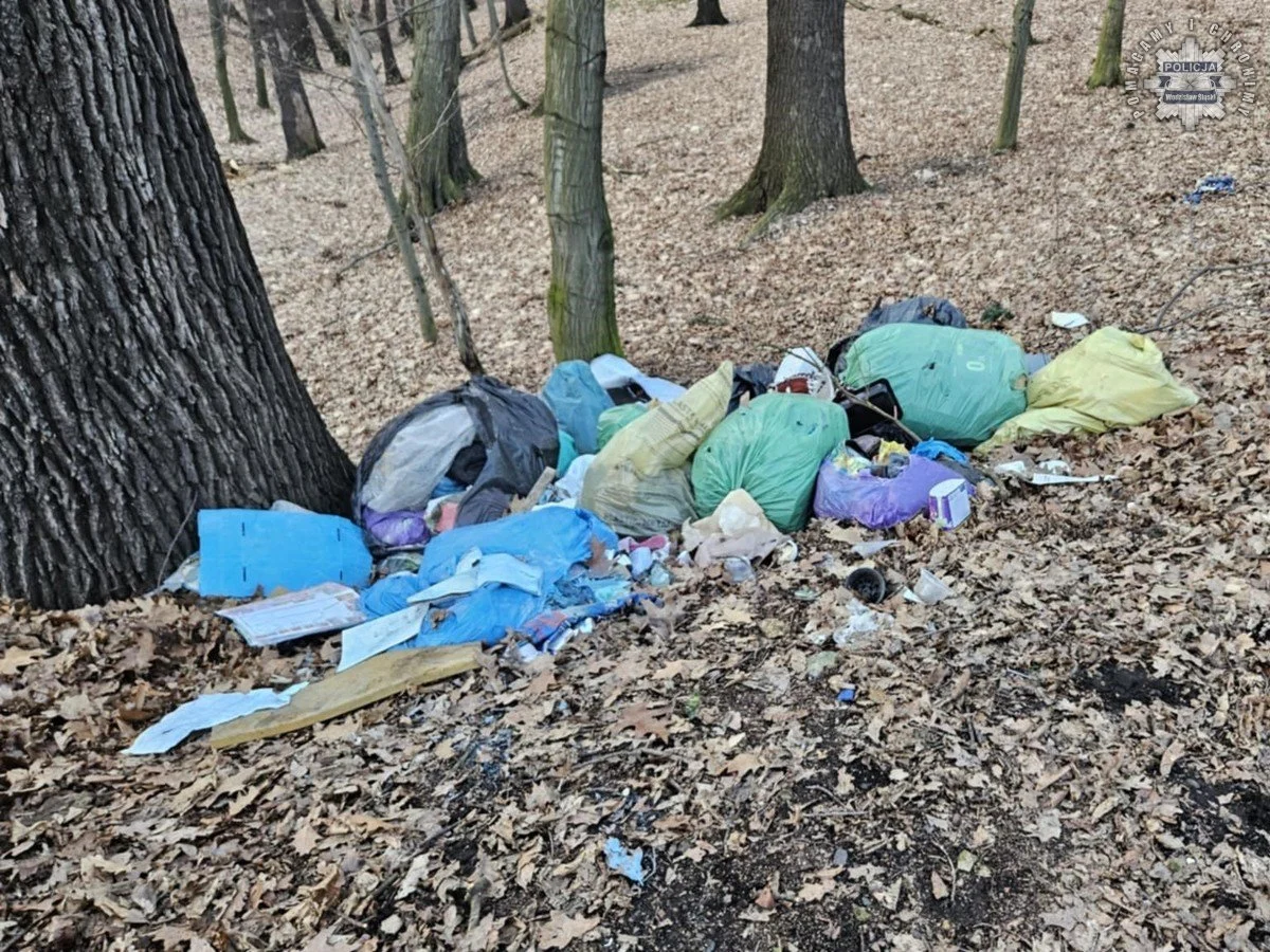 Zaśmiecanie lasu w Nieboczowach – sprawca ustalony, teraz o jego losie zdecyduje sąd