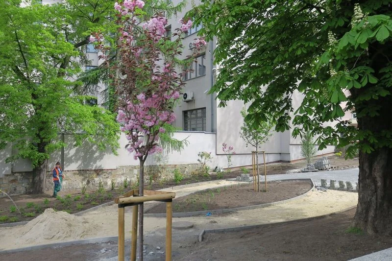 Teren przy ul. 3 Maja w Rybniku zmienia się w kwitnący skwer