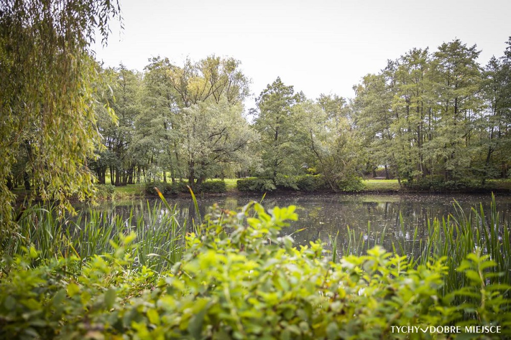 Rewitalizacja Parku Łabędzi – cztery strefy przyrodnicze i integracyjne w Tychach