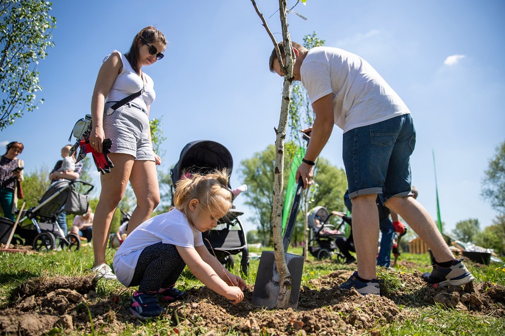 Tyszanie znów posadzą drzewa dla swoich dzieci – rusza kolejna edycja akcji