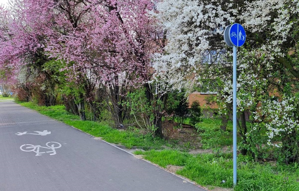 Nowe ścieżki i chodniki w Tychach! Rusza budowa 2,5 km tras dla mieszkańców