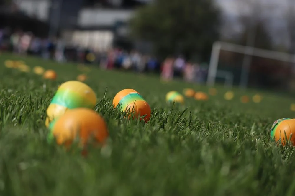 Wielkanocne zbieranie jajek na stadionie MOSiR / fot. MOSiR Piekary Śląskie