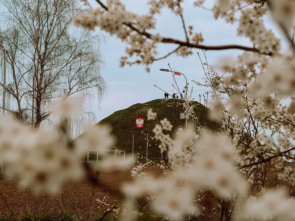 Dzień Ziemi: Wyniki konkursu „Moje Zielone Piekary”