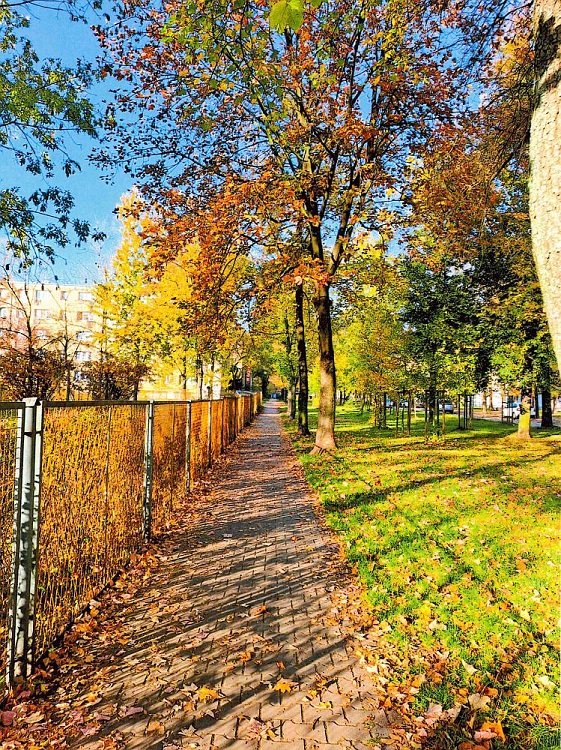 Dzień Ziemi: Wyniki konkursu „Moje Zielone Piekary”