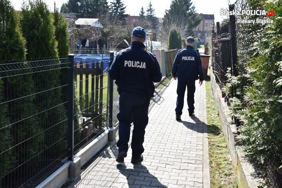 Kradzieże na działkach – jak skutecznie zabezpieczyć sprzęt ogrodowy?