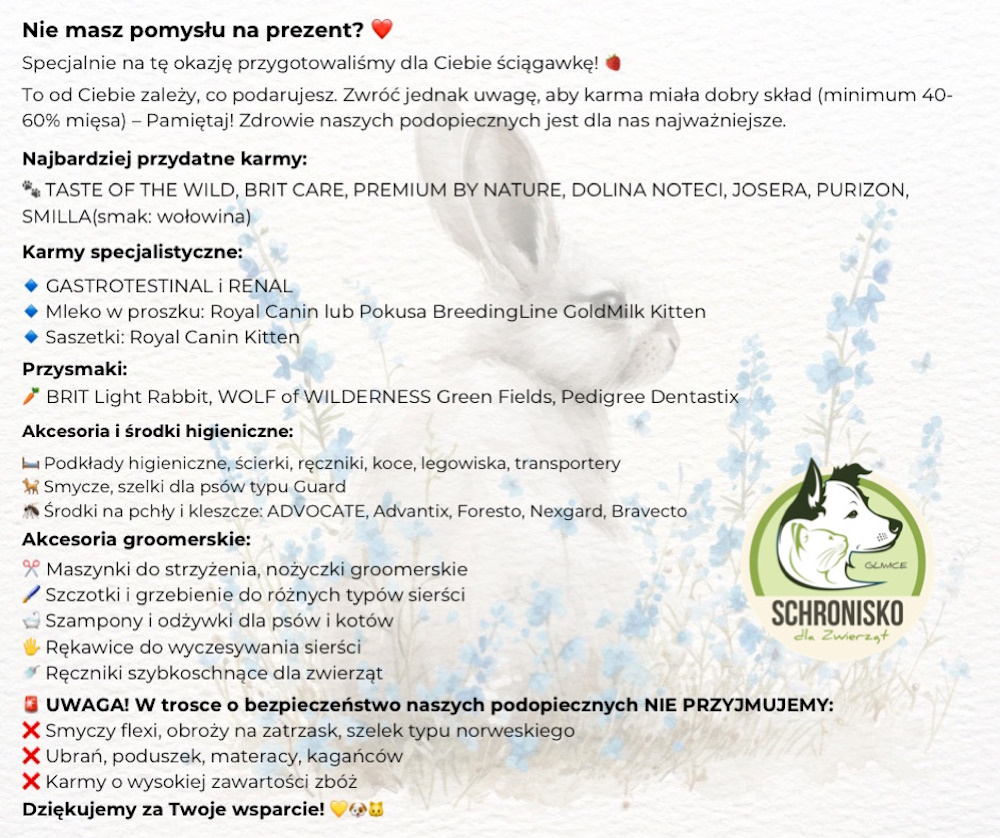 Zostań zajączkiem wielkanocnym! Wspieramy schronisko dla zwierząt