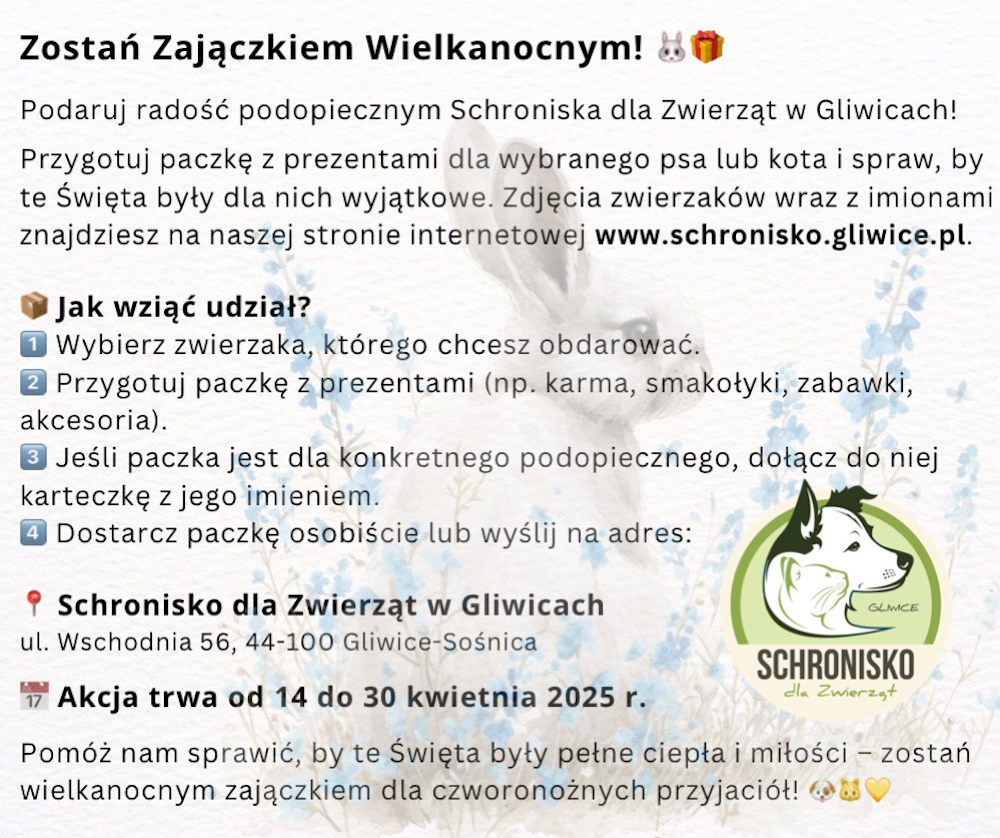 Zostań zajączkiem wielkanocnym! Wspieramy schronisko dla zwierząt