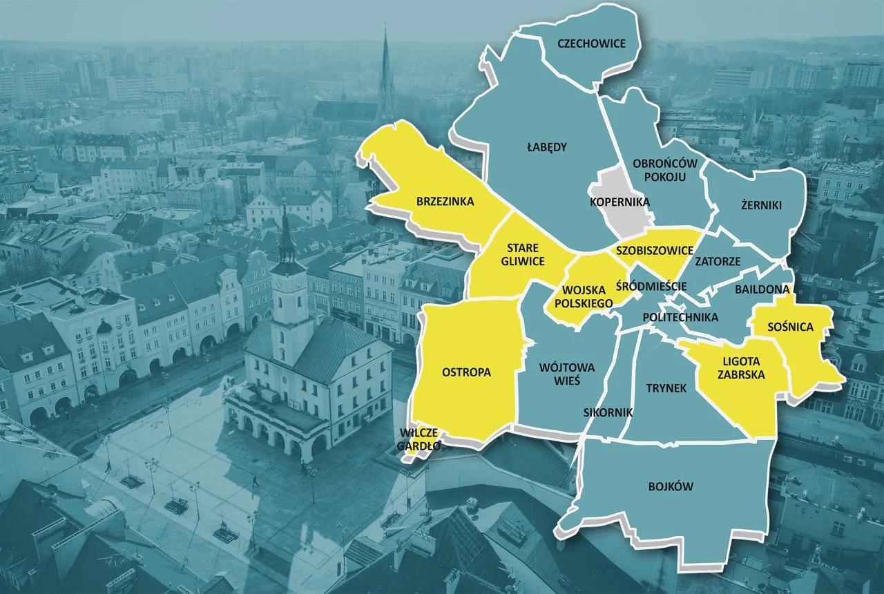 Kto został radnym dzielnicowym? Znamy wyniki wyborów