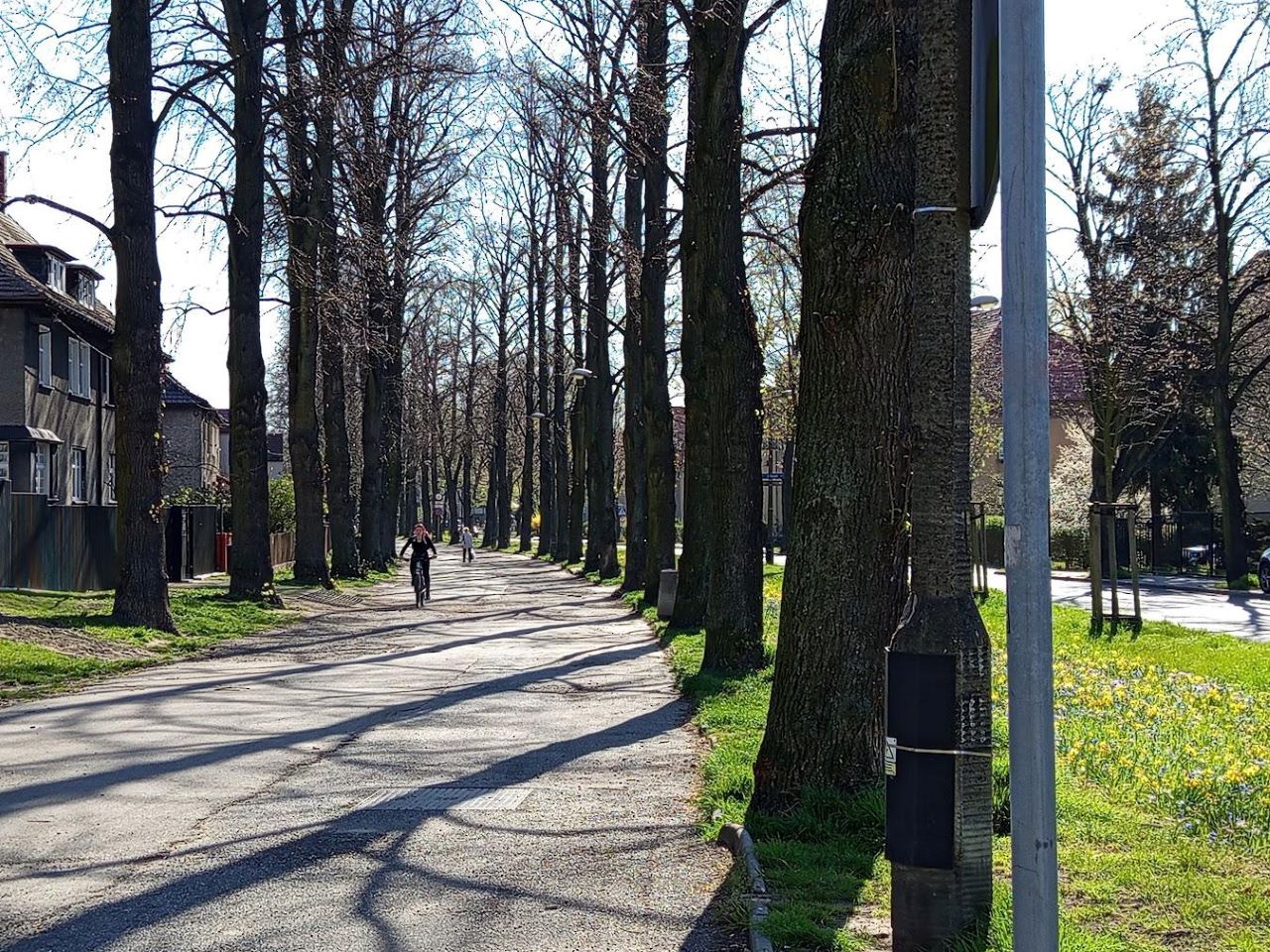 Jeszcze w kwietniu ruszy przebudowa alei Mickiewicza!