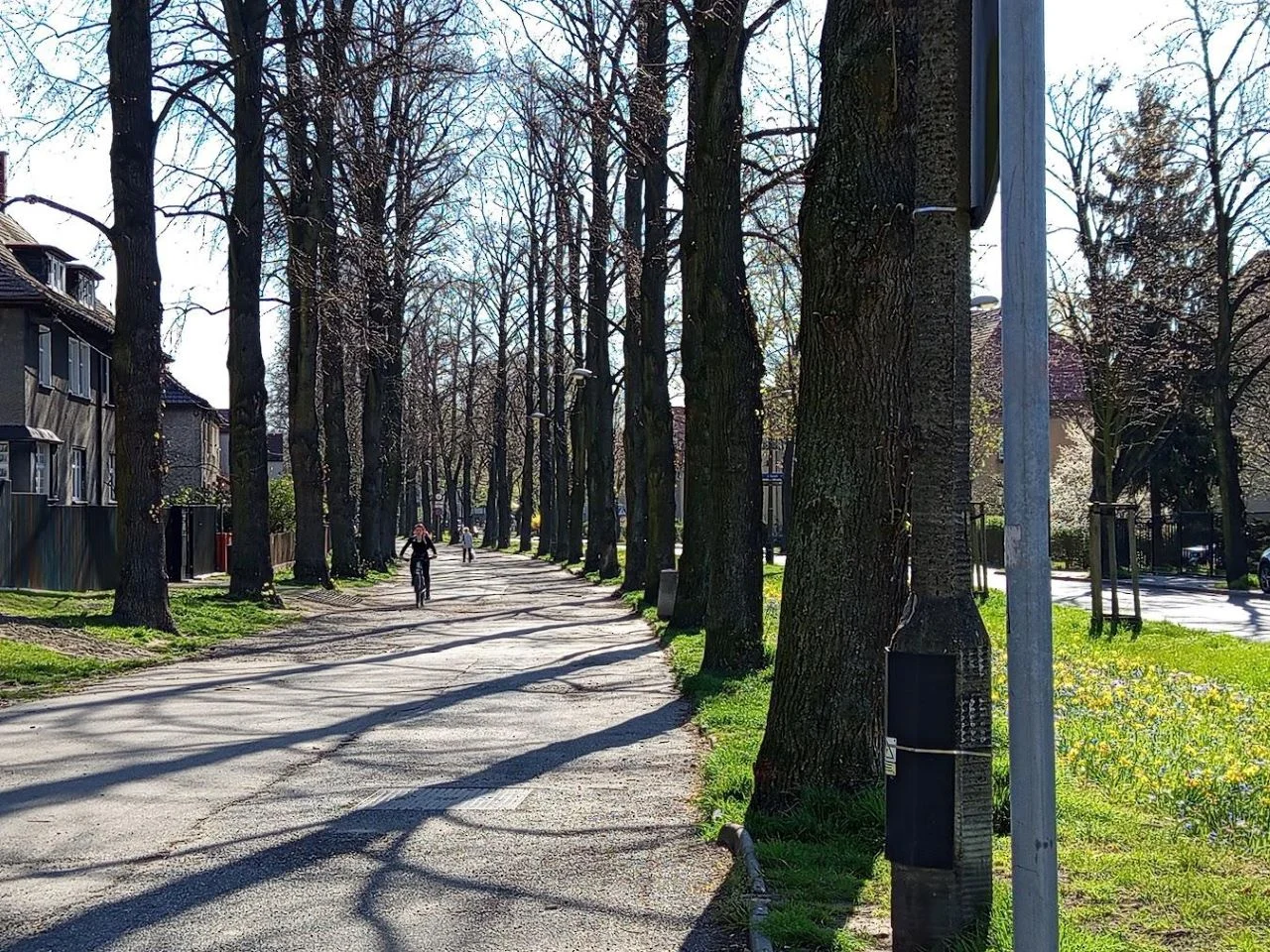 Jeszcze w kwietniu ruszy przebudowa alei Mickiewicza!