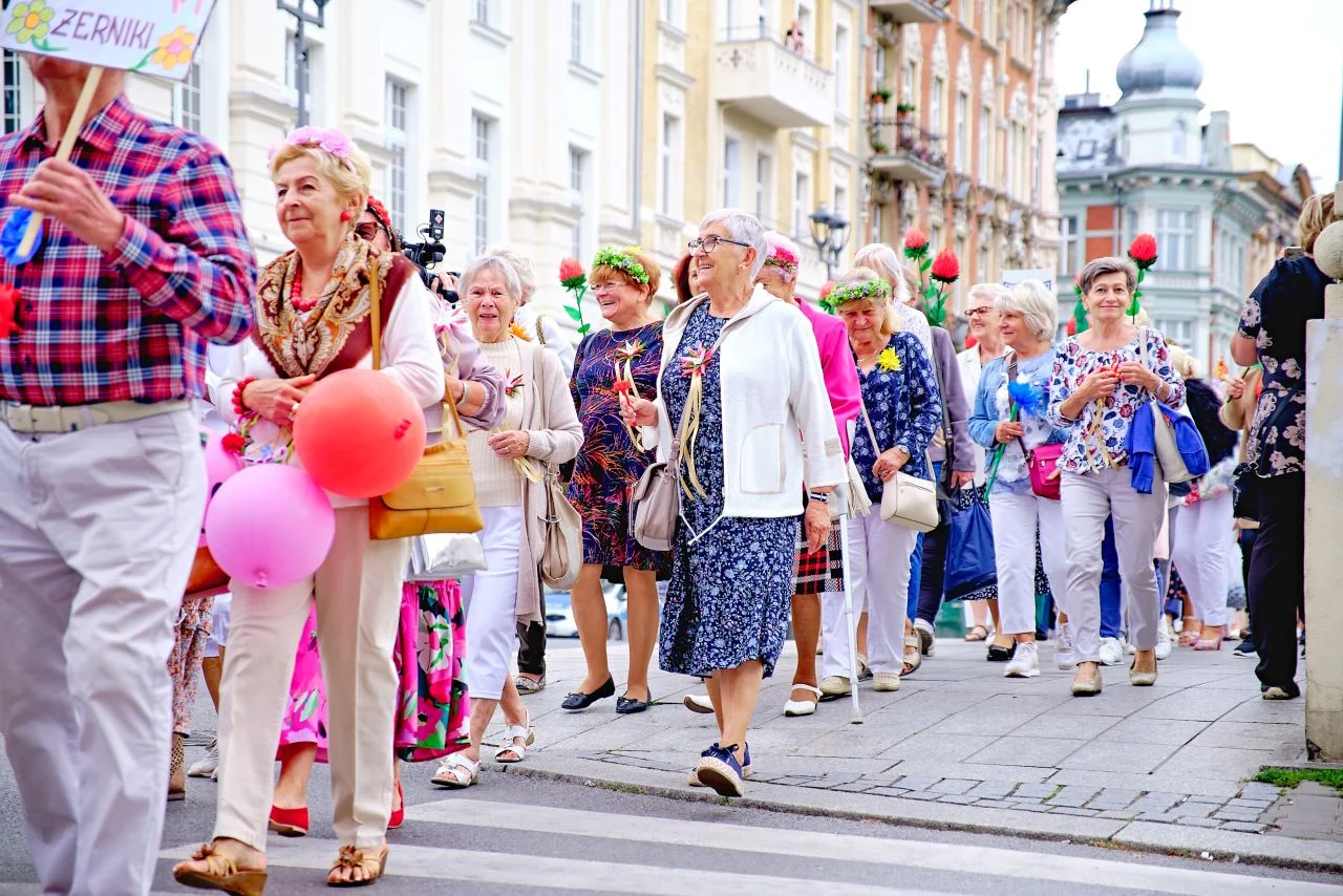 Seniorzy w Gliwicach się nie nudzą! Bogata oferta różnorodnych aktywności