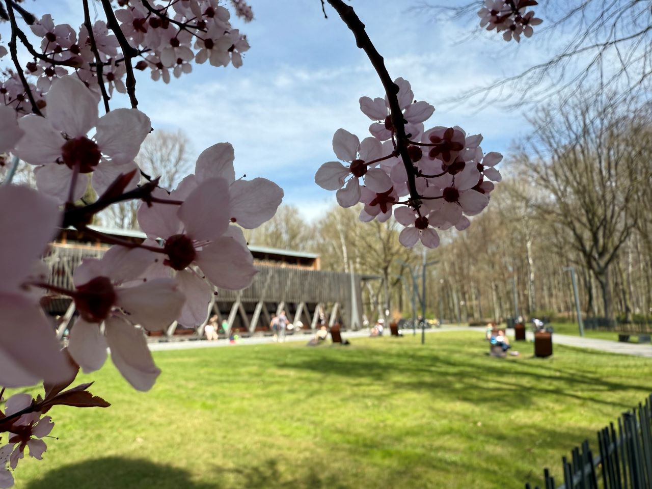 Pomysł na świąteczny spacer. Tężnia zaprasza!