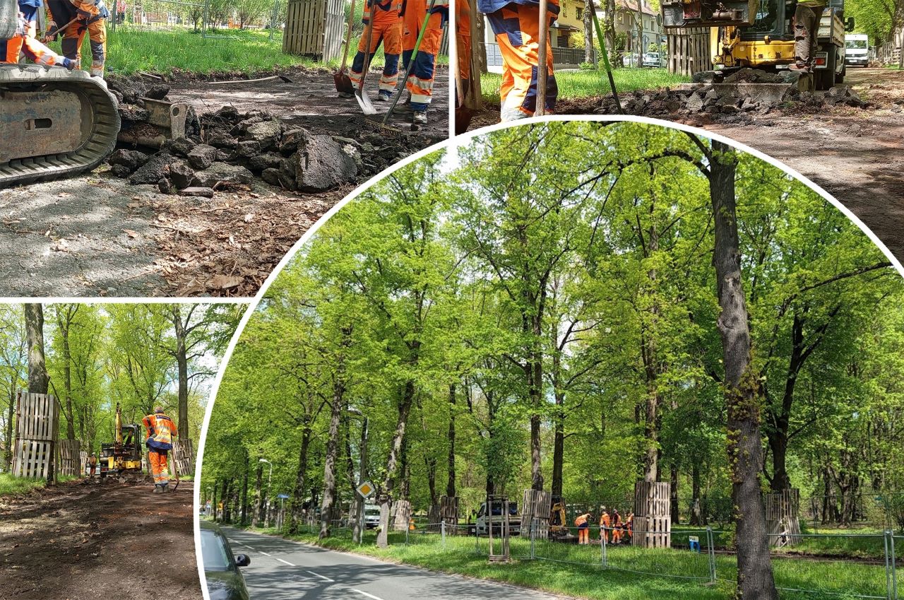 Ruszyła przebudowa alei Mickiewicza!