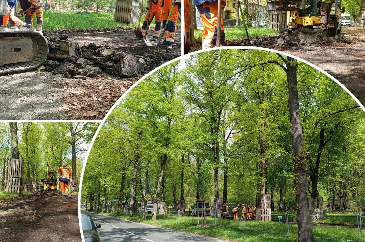 Ruszyła przebudowa alei Mickiewicza!