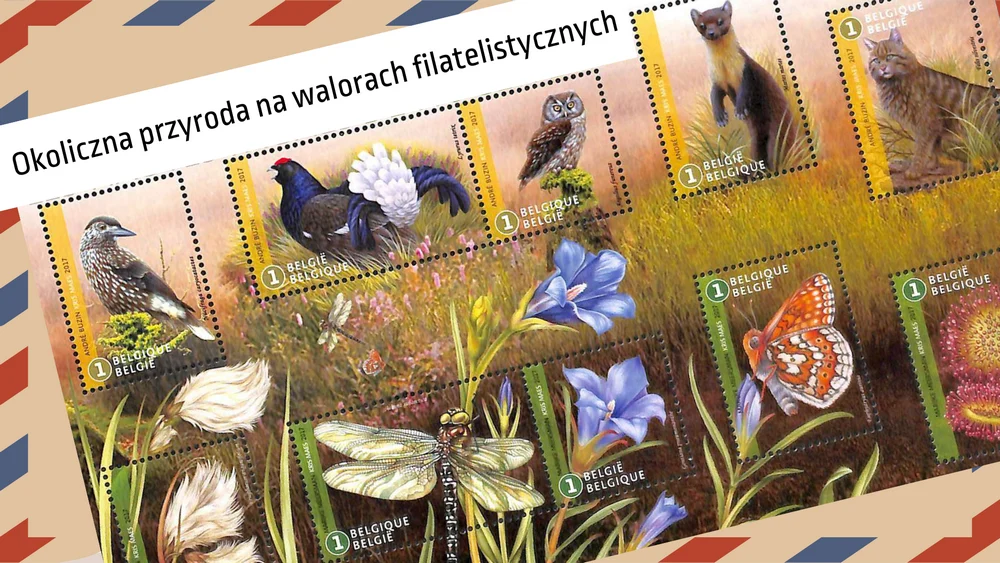 Okoliczna przyroda na walorach filatelistycznych – przed nami wernisaż wystawy