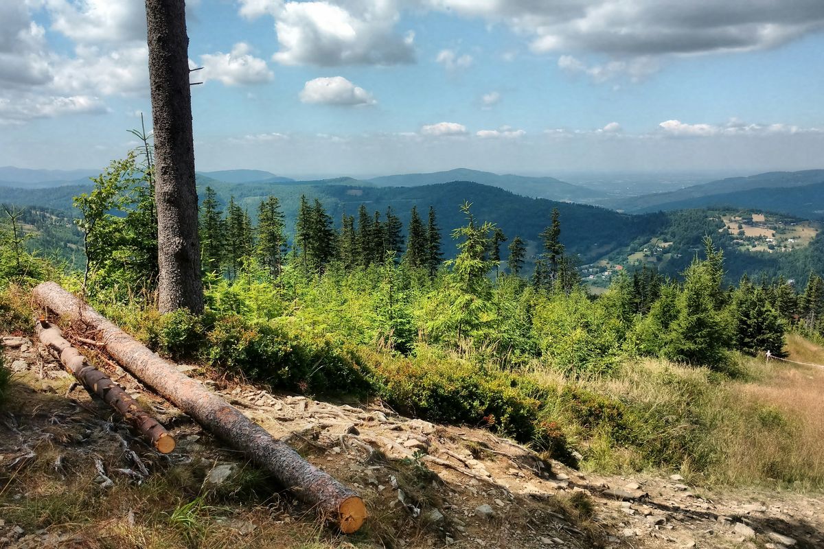 Polska na wakacje. Czy wciąż wybieramy góry?
