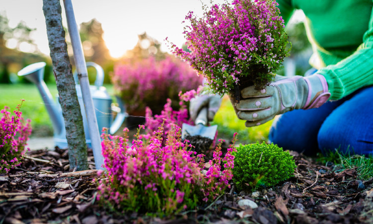 Rodzinne Ogródki Działkowe z miejskim wsparciem!