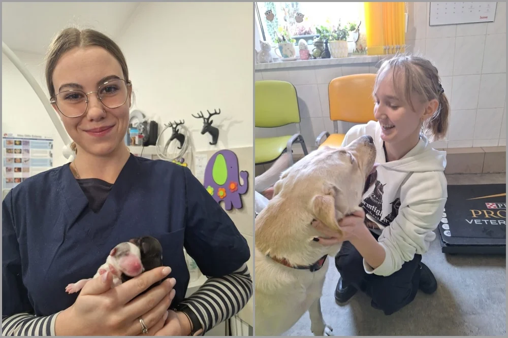 Praktyka, kwalifikacje i Fundusze UE – tak działa Program Profesjonalny Mikołowski