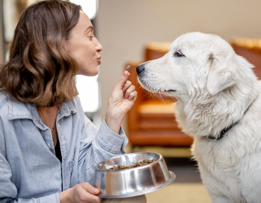 Jak wybór odpowiedniej karmy dla psa może wpłynąć na zdrowie i wygląd Twojego pupila
