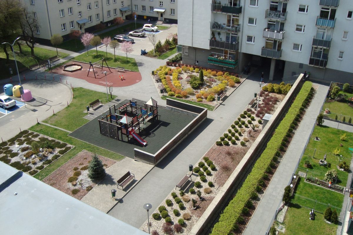 Katowice jeszcze bardziej zielone. Nowe nasadzenia na osiedlach KTBS