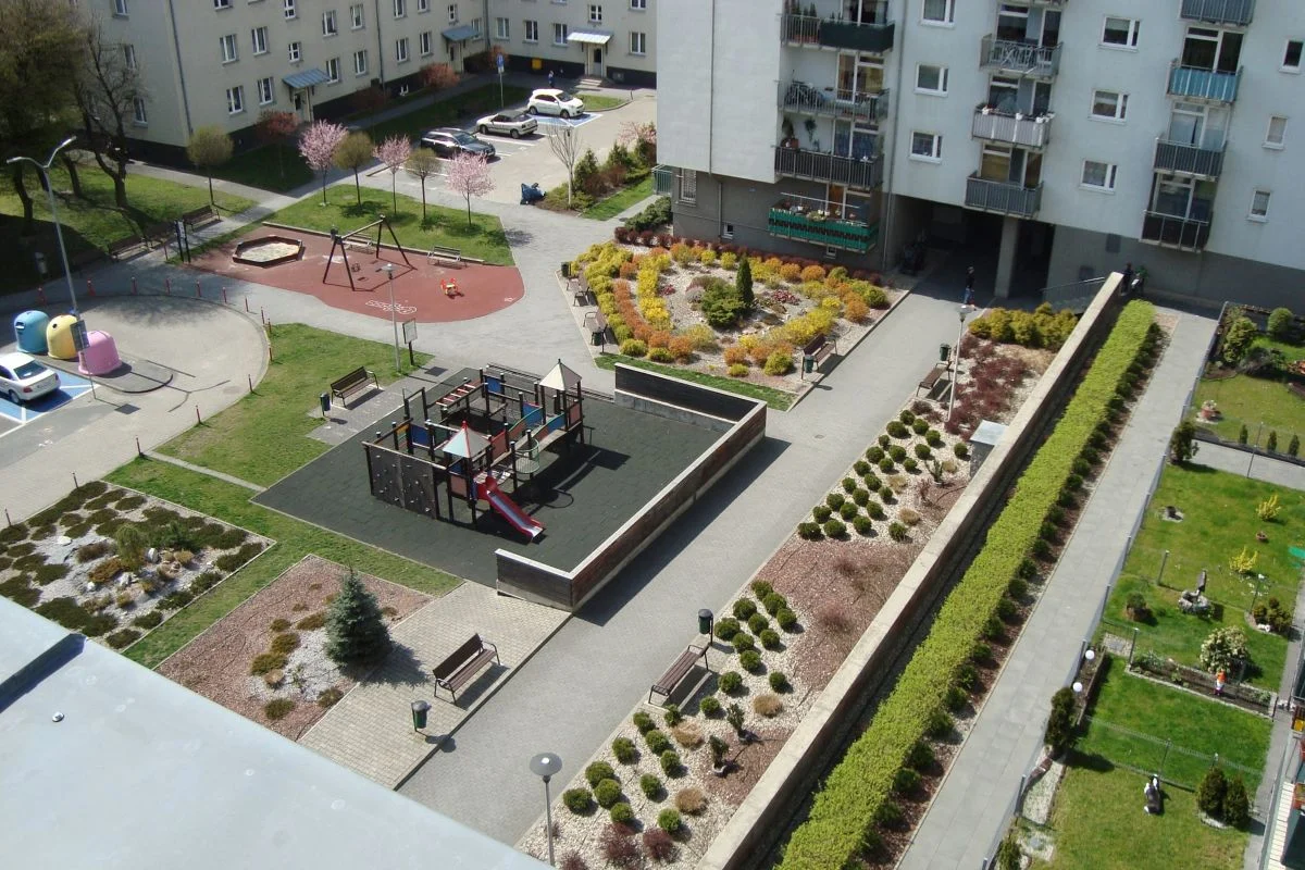 Katowice jeszcze bardziej zielone. Nowe nasadzenia na osiedlach KTBS