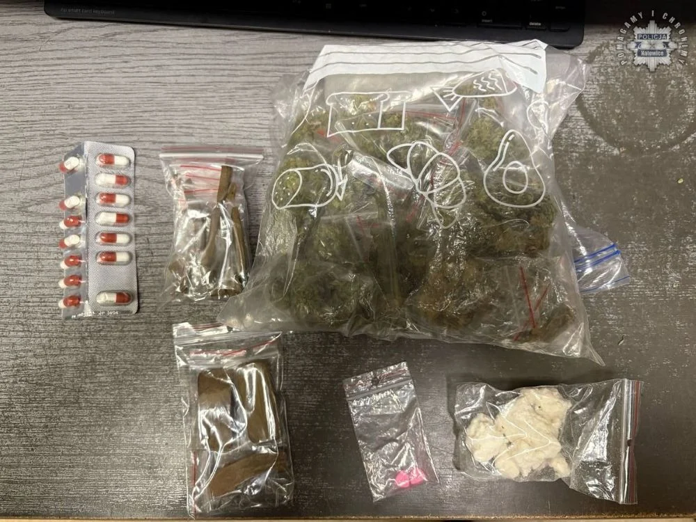 Wpadli z narkotykami. Dilerzy z Tunezji zatrzymani