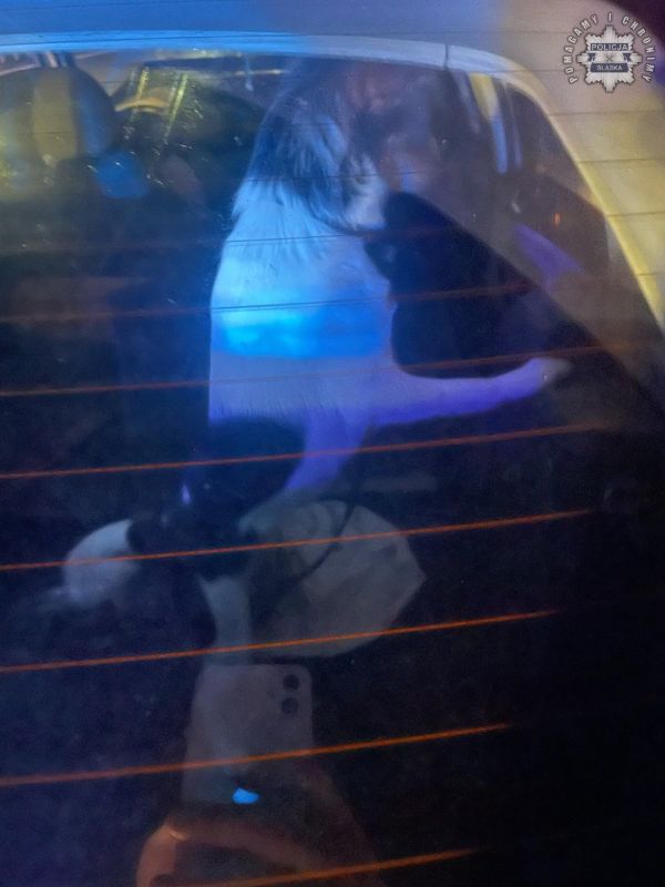 Groźna kolizja na A1. Narkotyki, brak prawa jazdy i ranna pasażerka 5