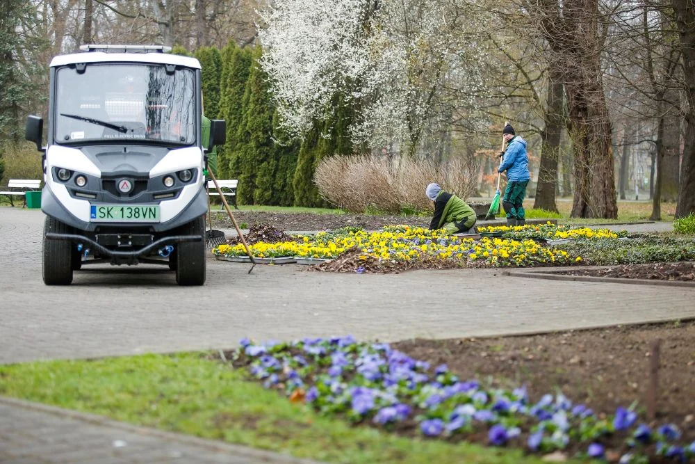 Zielone Katowice. Ekologia na co dzień, nie od święta