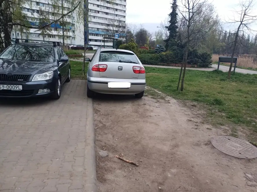 „Wyzwanie – parkowanie” w Katowicach. Tylko w ostatnim tygodniu 445 wykroczeń! 8
