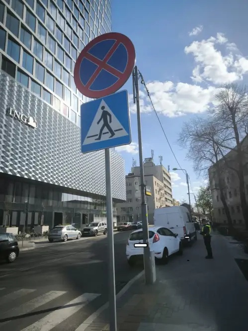 „Wyzwanie – parkowanie” w Katowicach. Tylko w ostatnim tygodniu 445 wykroczeń! 21