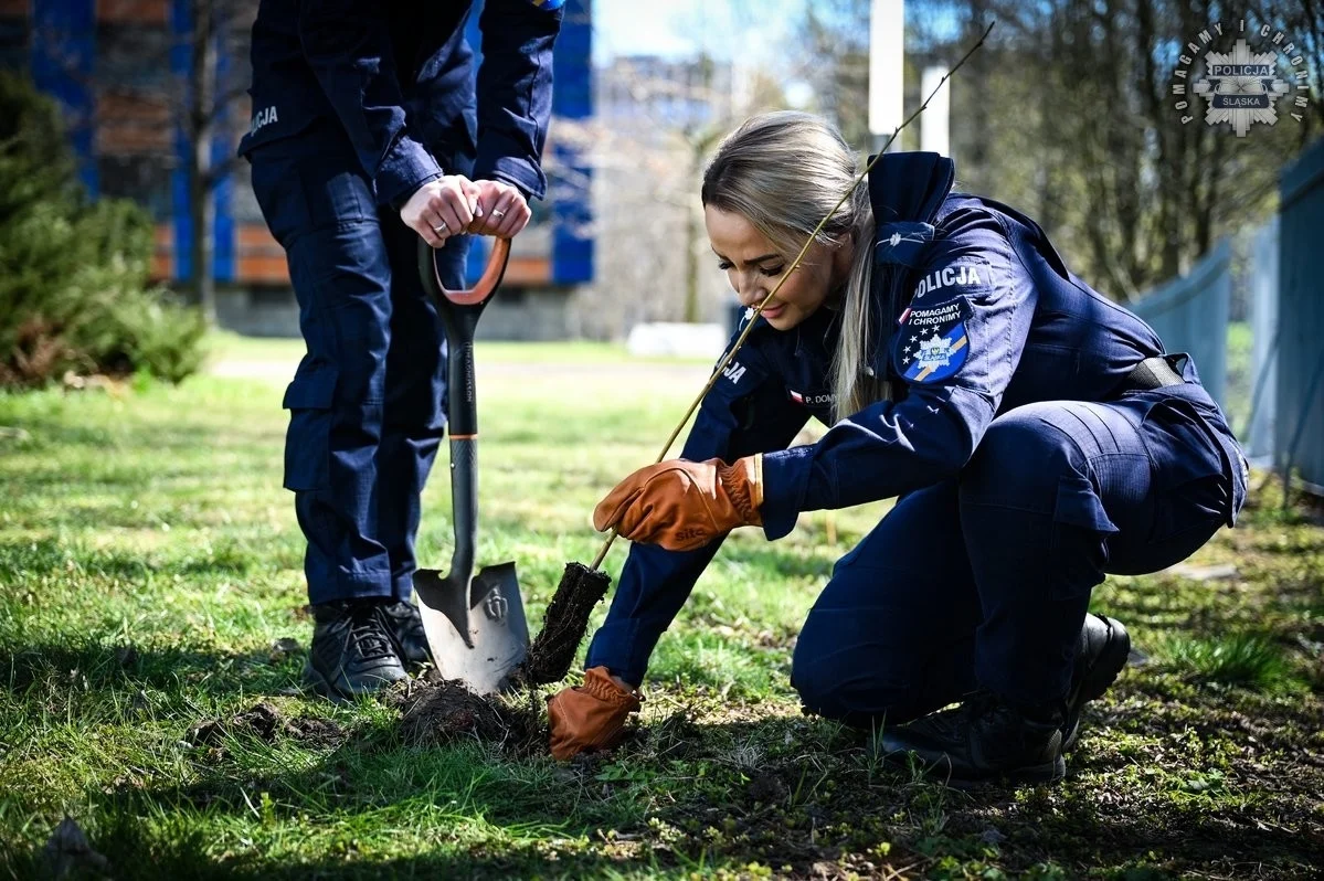 Sto lat służby, sto drzew pamięci. Kobiety w Policji z wyjątkowym gestem!