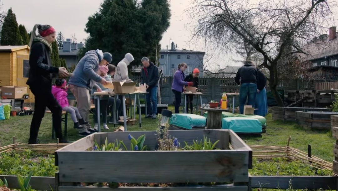 Ogród społeczny „Oberiba” w Zabrzu – przestrzeń dla przyrody