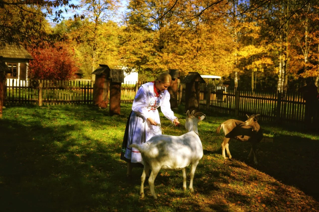 Skansen zaprasza na pierwszy wiosenny etnospacer w tym roku "Zagroda pełna zwierząt"