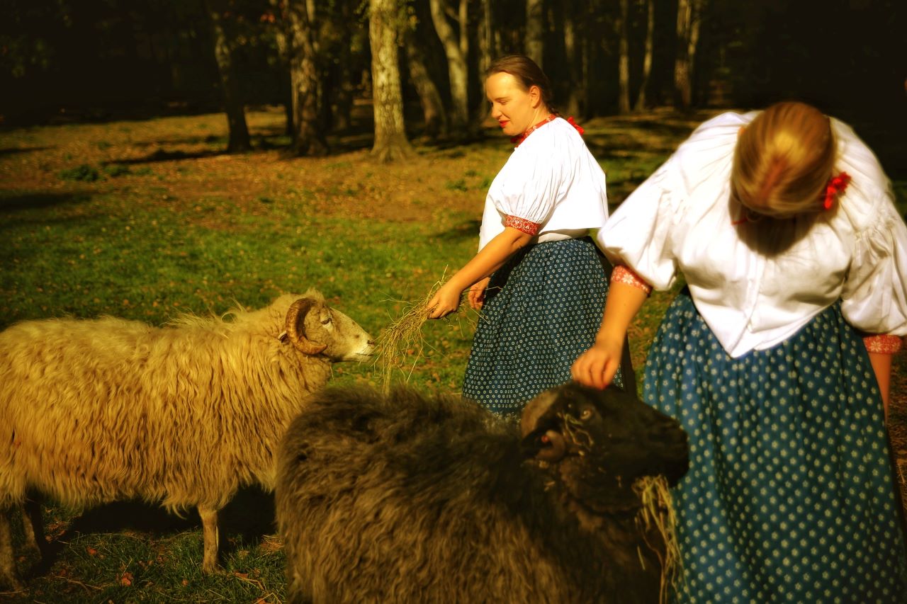 Skansen zaprasza na pierwszy wiosenny etnospacer w tym roku "Zagroda pełna zwierząt"