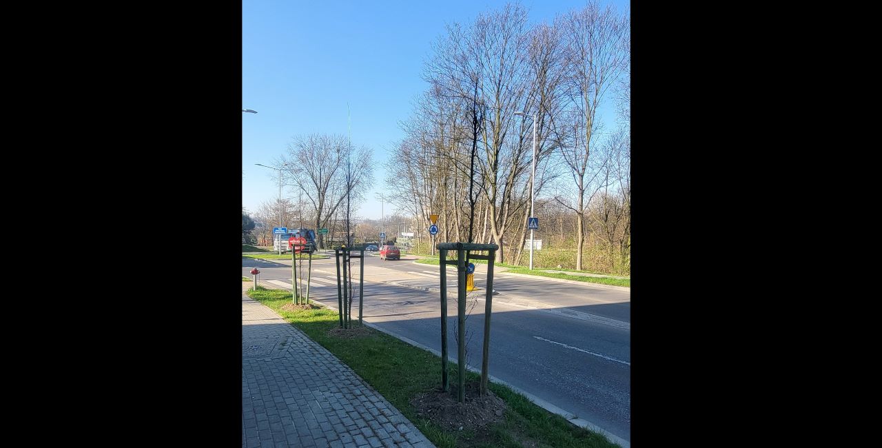 Chorzów się zazielenia! Wiosenne nasadzenia trwają! [ZDJĘCIA]