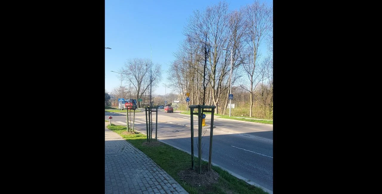 Chorzów się zazielenia! Wiosenne nasadzenia trwają! [ZDJĘCIA]