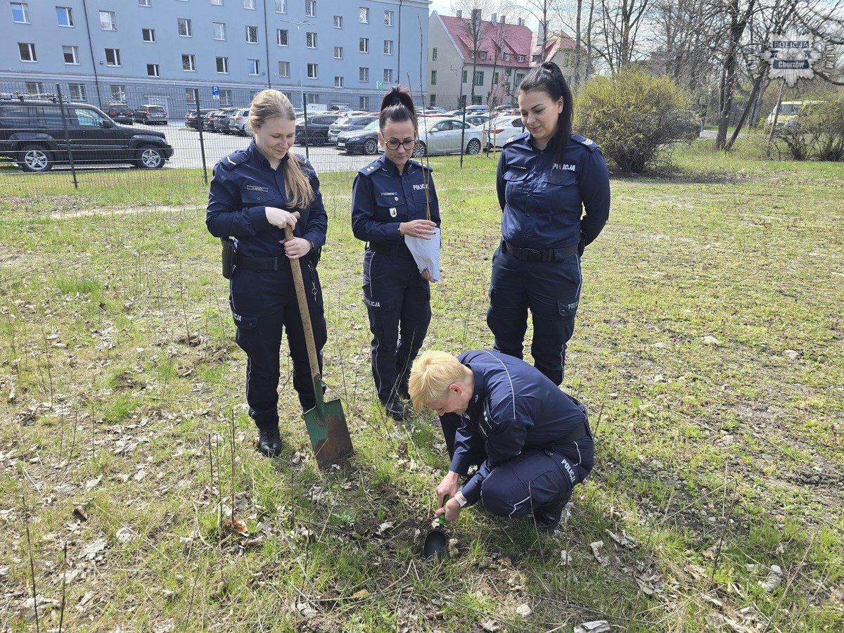 Chorzowskie policjantki posadziły drzewa z okazji Stulecia Kobiet w Policji
